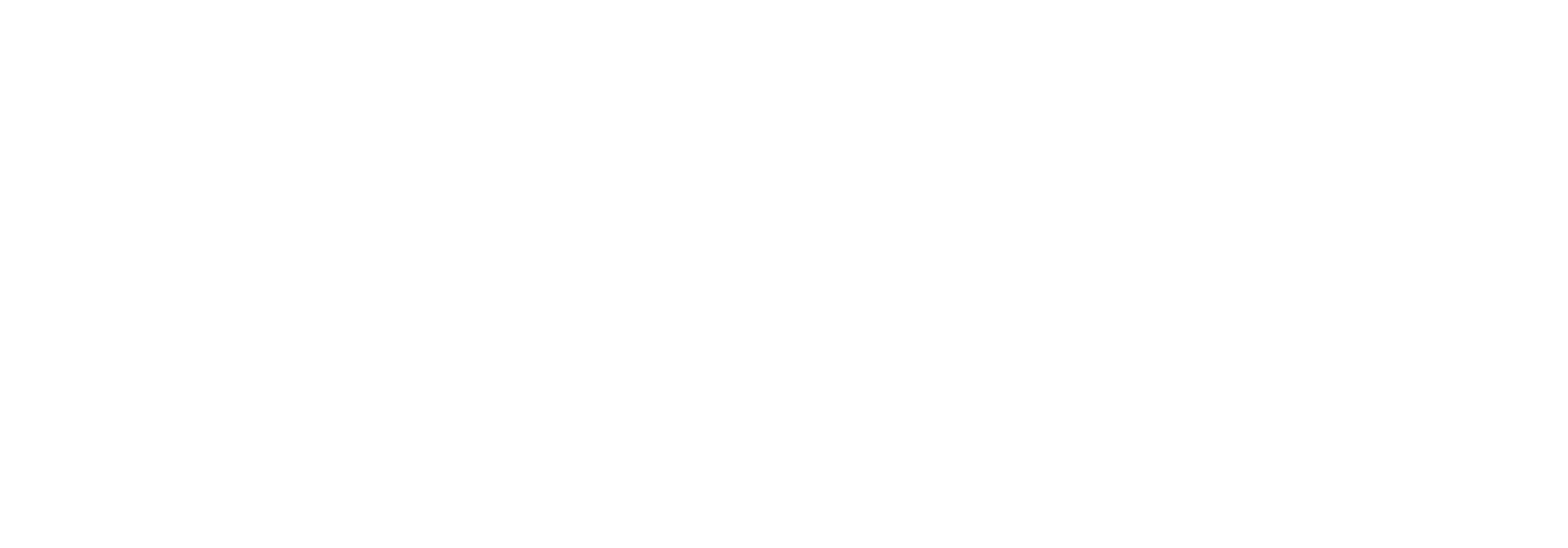 peppol einvoicing