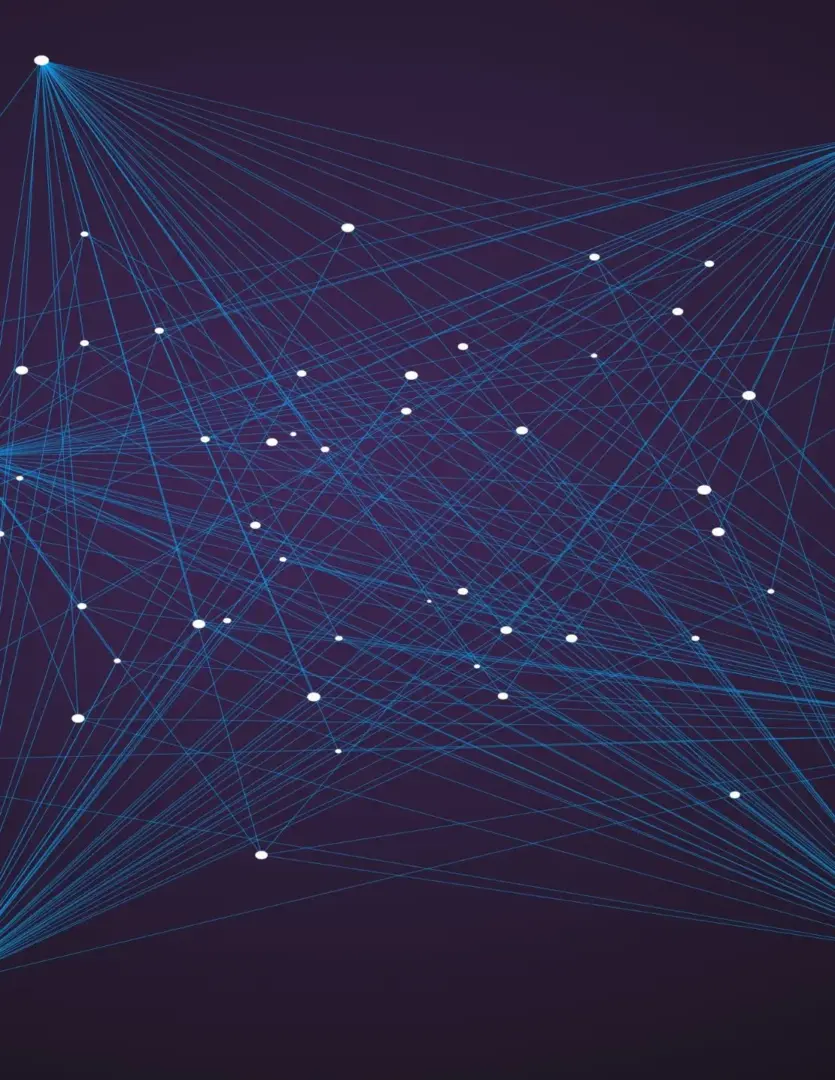 RapidP2P Automation